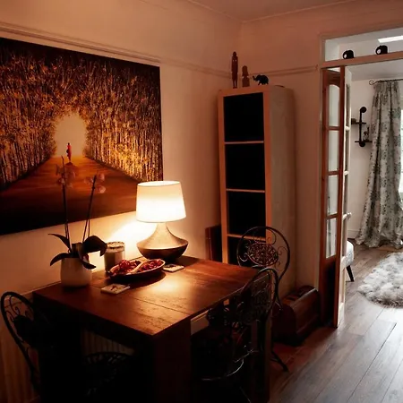 Spacious 1 Bedroom With Garden In Redland Lejlighed